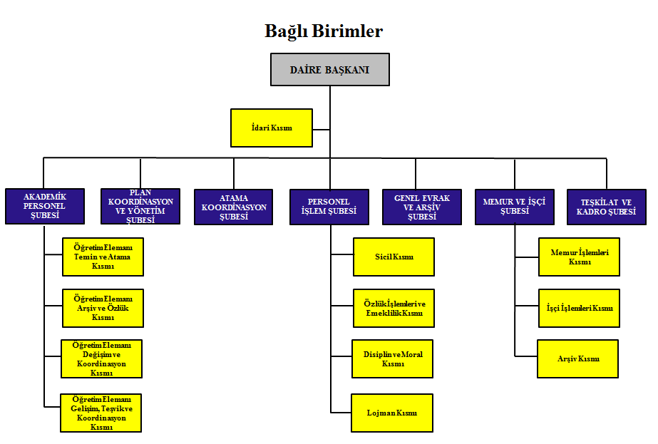 msü öğrenci temini